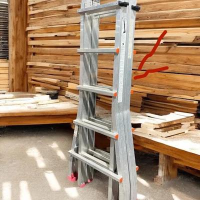 Extendable Multipurpose Ladder 