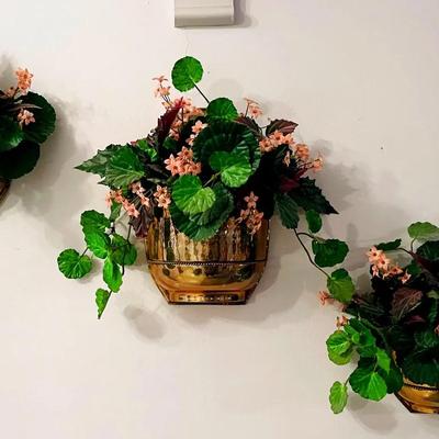 Wall Planters with Arrangements
