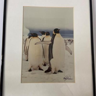 Sale Photo Thumbnail #109