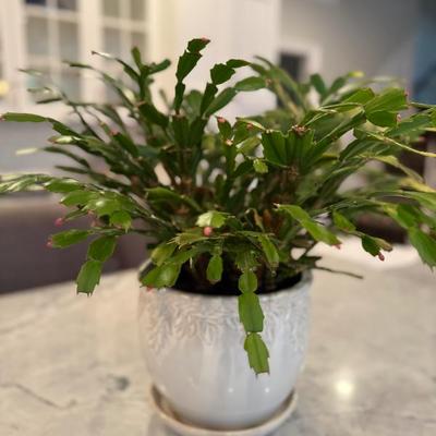 Sale Photo Thumbnail #41