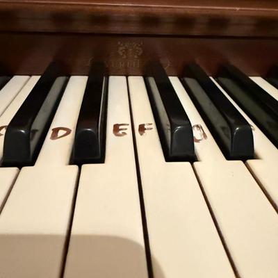 Sale Photo Thumbnail #148