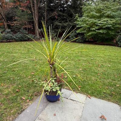 Sale Photo Thumbnail #197