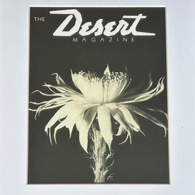 Sale Photo Thumbnail #142