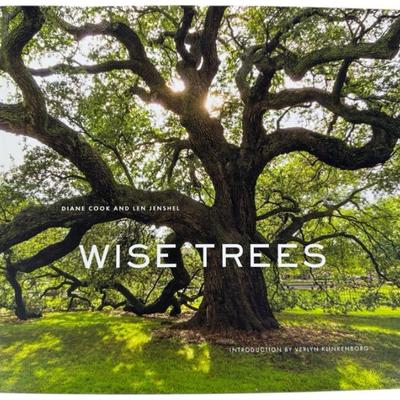 Sale Photo Thumbnail #180