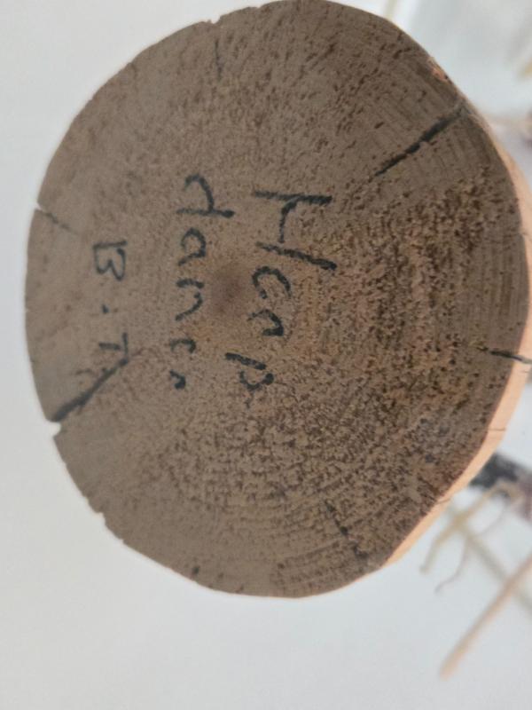 Sale Photo Thumbnail #386