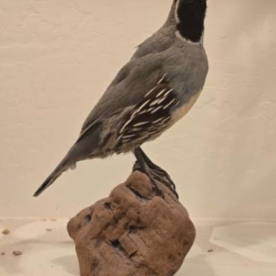 Sale Photo Thumbnail #42