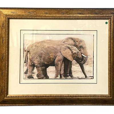 Sale Photo Thumbnail #81