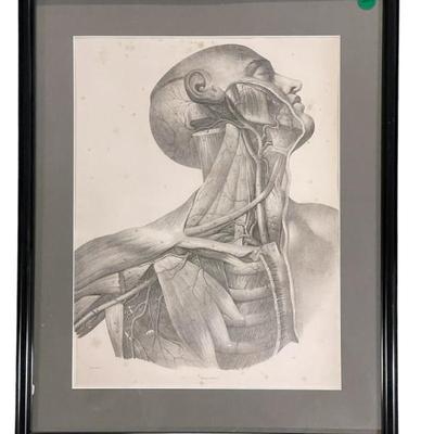 Sale Photo Thumbnail #206