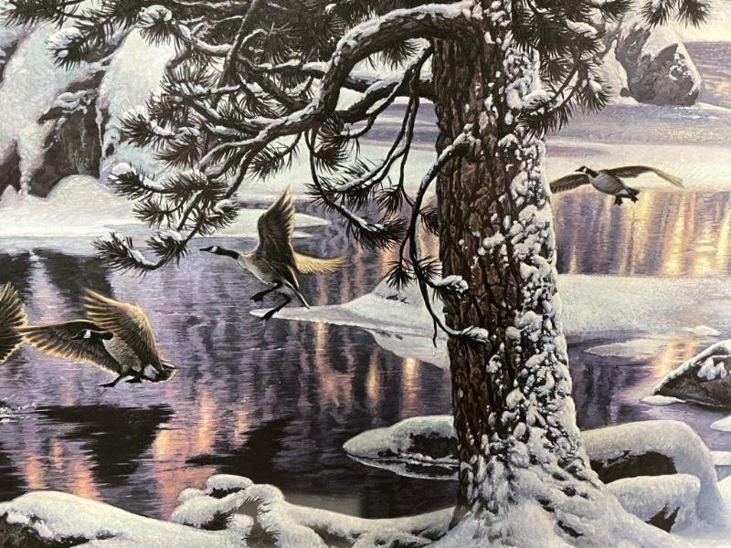 Sale Photo Thumbnail #273