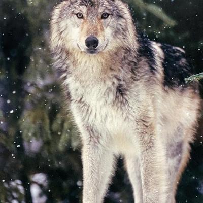 Sale Photo Thumbnail #195