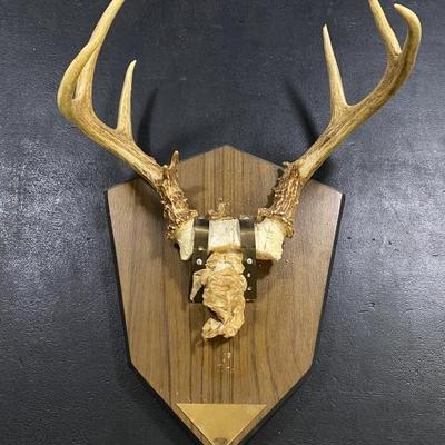 Sale Photo Thumbnail #188