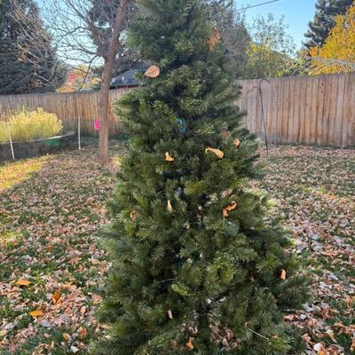 Sale Photo Thumbnail #108