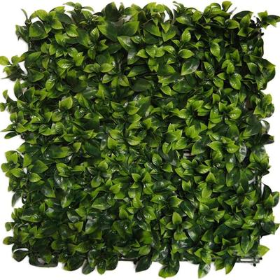 Sale Photo Thumbnail #77