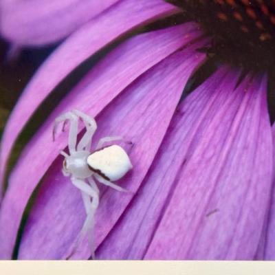 Sale Photo Thumbnail #104