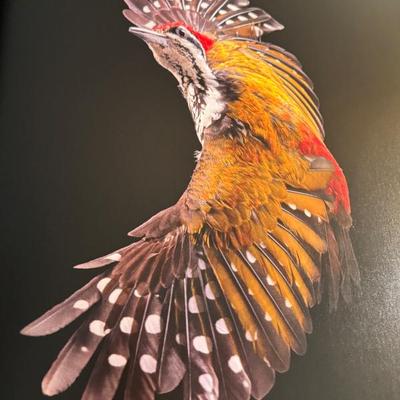 Sale Photo Thumbnail #33