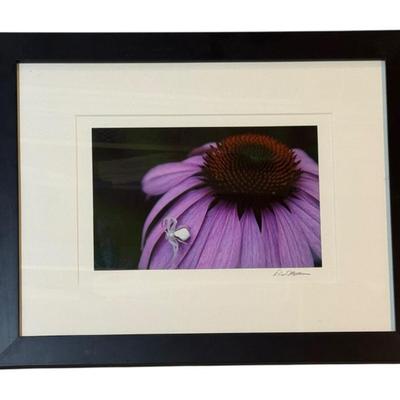 Sale Photo Thumbnail #103