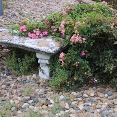 Sale Photo Thumbnail #457