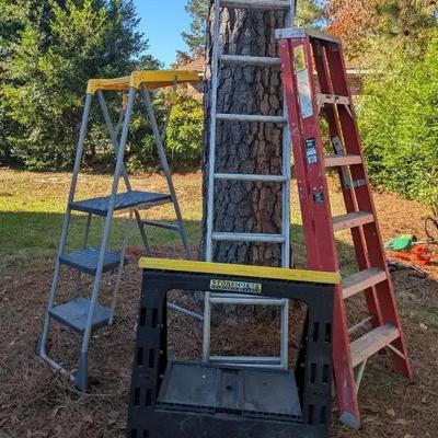 Ladder and Sawhorse Collection Featuring Costco Step Ladder, 6-ft Metal Ladder & Extension Ladder
