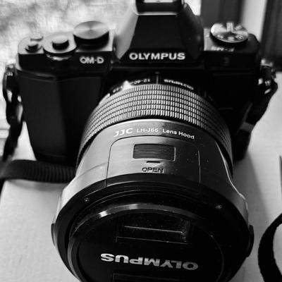 Sale Photo Thumbnail #142