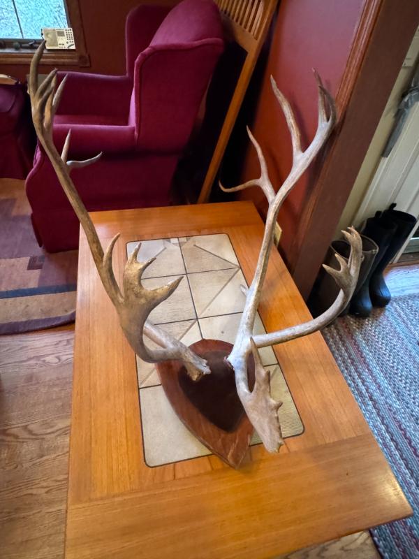 Sale Photo Thumbnail #34