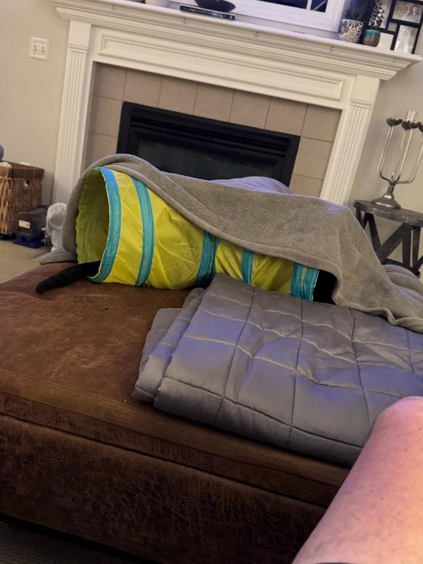 Sale Photo Thumbnail #246