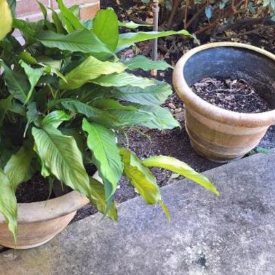 Sale Photo Thumbnail #9