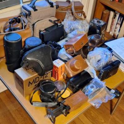 Sale Photo Thumbnail #218