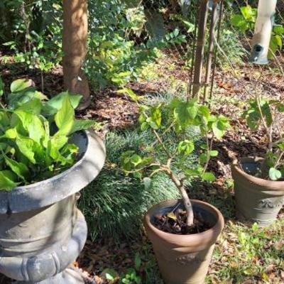 Sale Photo Thumbnail #29