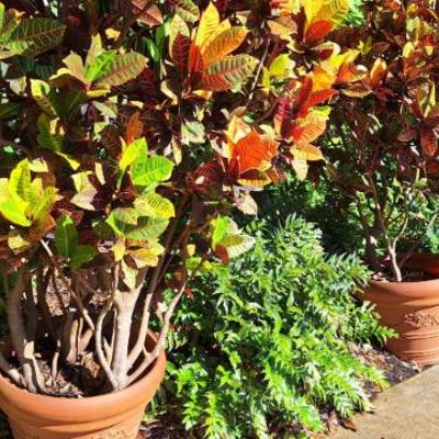 Sale Photo Thumbnail #38