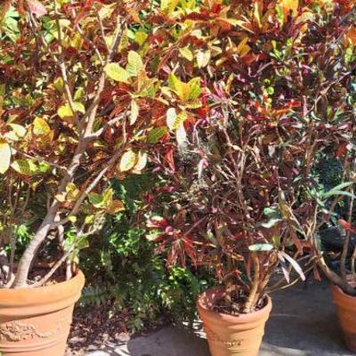 Sale Photo Thumbnail #35