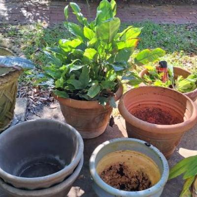 Sale Photo Thumbnail #26