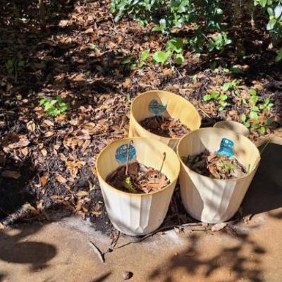 Sale Photo Thumbnail #15