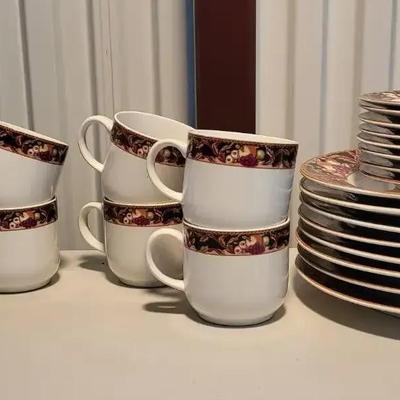 Vitromaster Dish Set (1115)