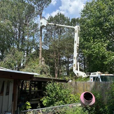 Sale Photo Thumbnail #15