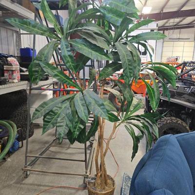 Sale Photo Thumbnail #1407