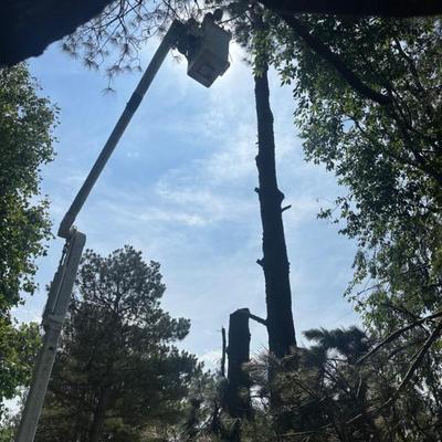 Sale Photo Thumbnail #17