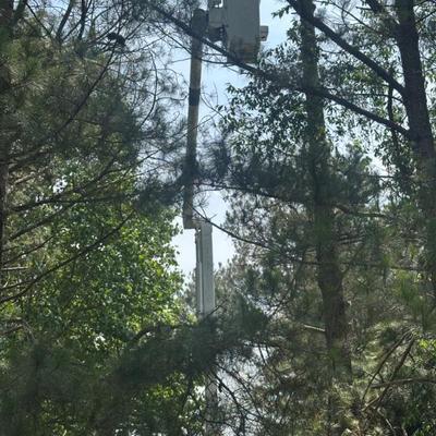 Sale Photo Thumbnail #16