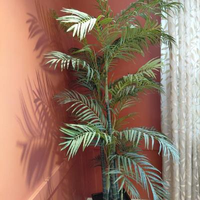 Sale Photo Thumbnail #79