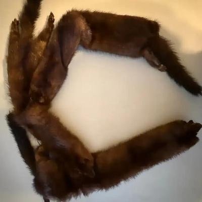 Vintage Mink Stole