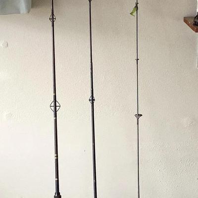 Three Rods And Spinning Reels