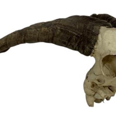 Sale Photo Thumbnail #159