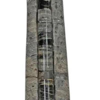 Sale Photo Thumbnail #20