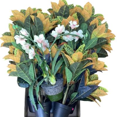 Sale Photo Thumbnail #465