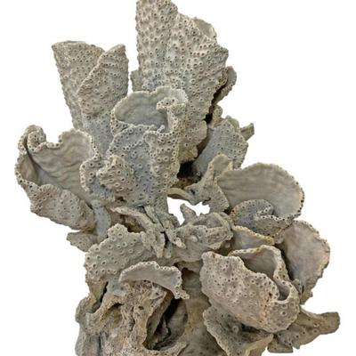 Sale Photo Thumbnail #210