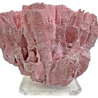 Sale Photo Thumbnail #364