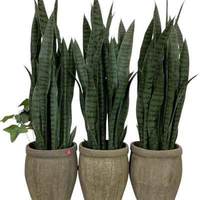 Sale Photo Thumbnail #443