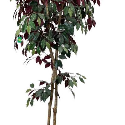 Sale Photo Thumbnail #502