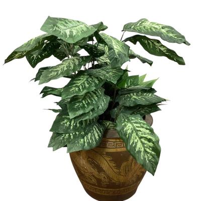 Sale Photo Thumbnail #587