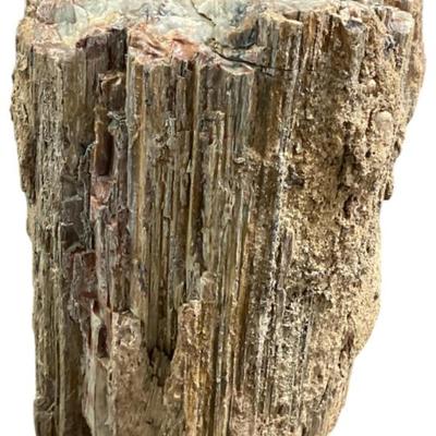 Sale Photo Thumbnail #215