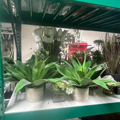 Sale Photo Thumbnail #241